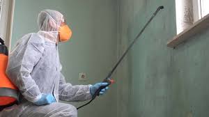 Asbestos and Lead Testing During Mold Inspection in Armona, CA