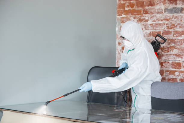 Trusted Armona, CA Mold Removal & Remediation Experts